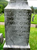 Gates, Illegible (Putnam)